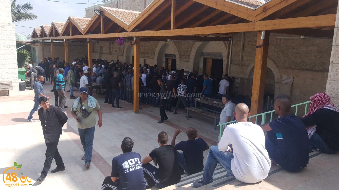 albeedjanaza (25).jpg